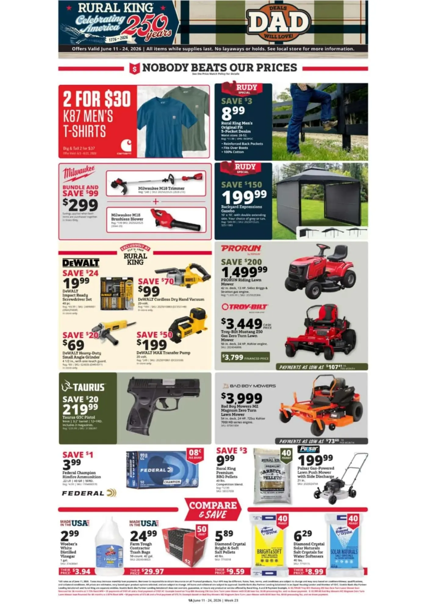 Flyer Page 1